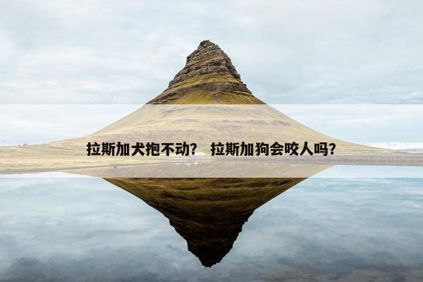 拉斯加犬抱不动？ 拉斯加狗会咬人吗？