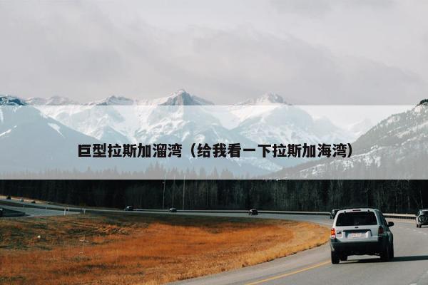 巨型拉斯加溜湾（给我看一下拉斯加海湾）