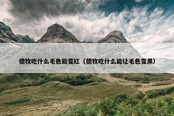 德牧吃什么毛色能变红（德牧吃什么能让毛色变黑）