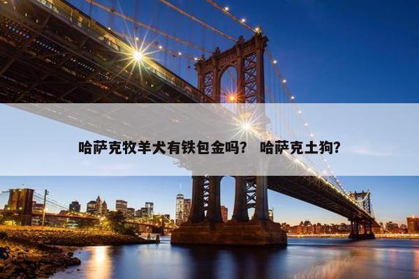 哈萨克牧羊犬有铁包金吗？ 哈萨克土狗？