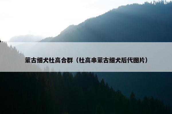蒙古细犬杜高合群（杜高串蒙古细犬后代图片）