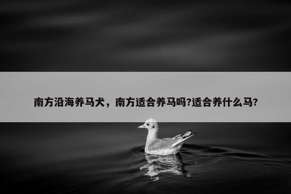 南方沿海养马犬，南方适合养马吗?适合养什么马?