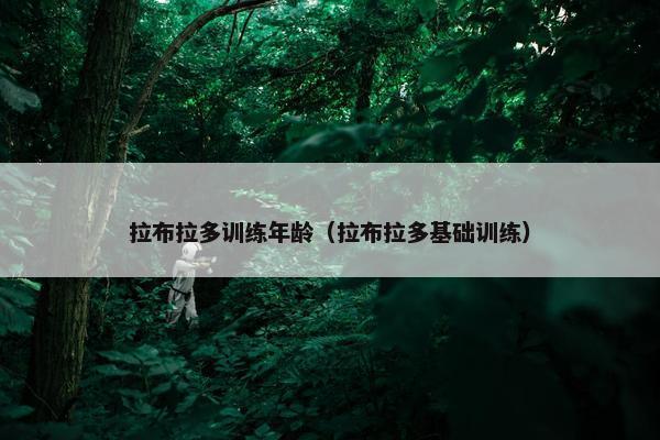 拉布拉多训练年龄（拉布拉多基础训练）