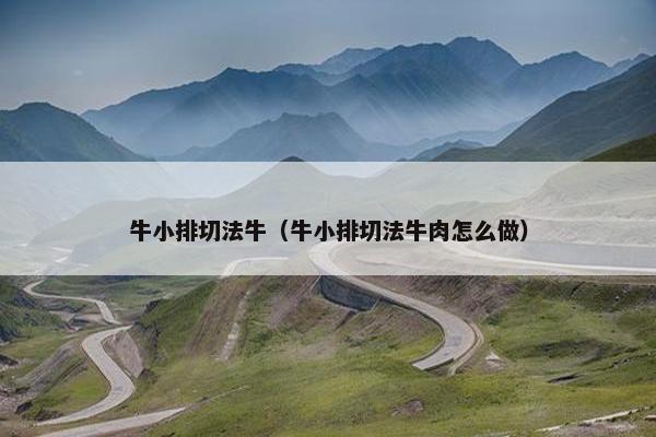 牛小排切法牛（牛小排切法牛肉怎么做）
