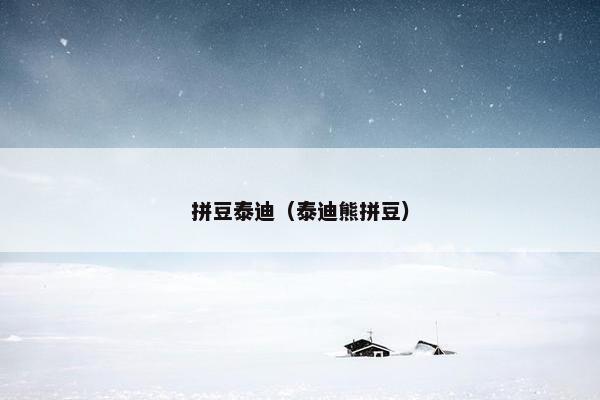 拼豆泰迪（泰迪熊拼豆）