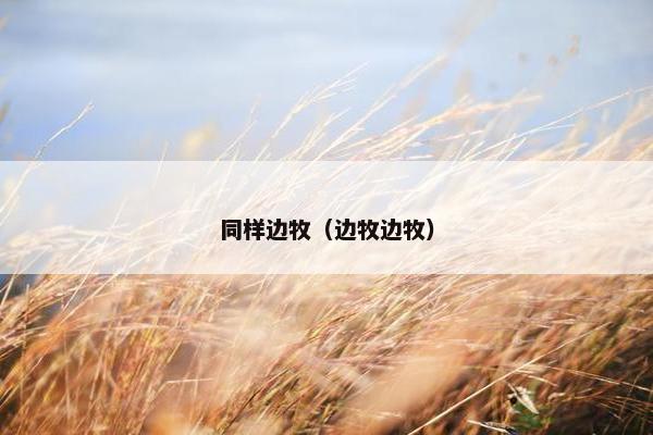 同样边牧（边牧边牧）