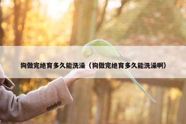 狗做完绝育多久能洗澡（狗做完绝育多久能洗澡啊）