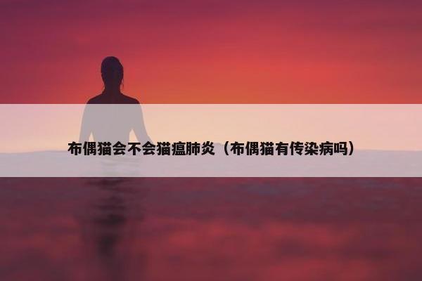 布偶猫会不会猫瘟肺炎（布偶猫有传染病吗）