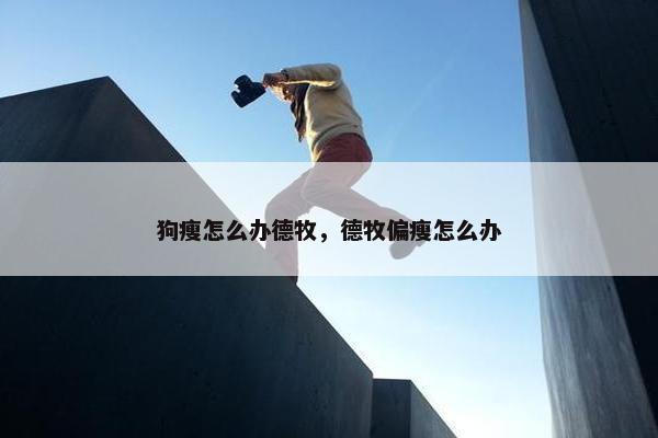 狗瘦怎么办德牧，德牧偏瘦怎么办