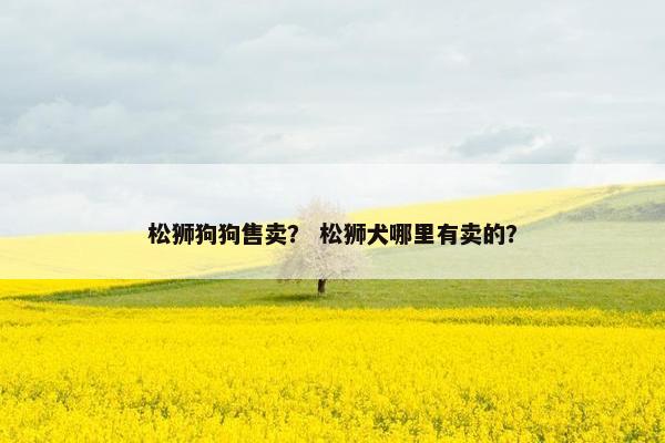 松狮狗狗售卖？ 松狮犬哪里有卖的？