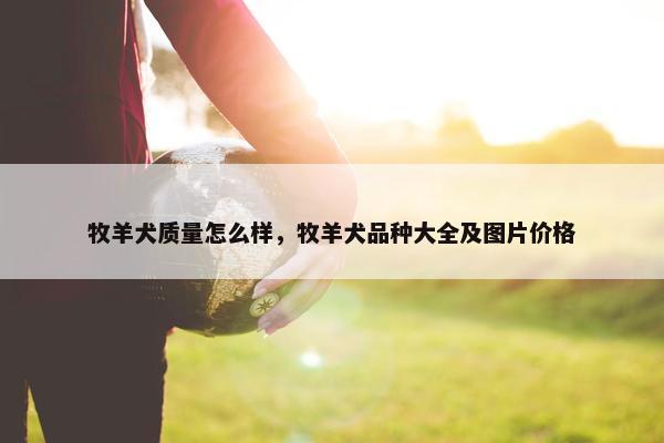 牧羊犬质量怎么样，牧羊犬品种大全及图片价格