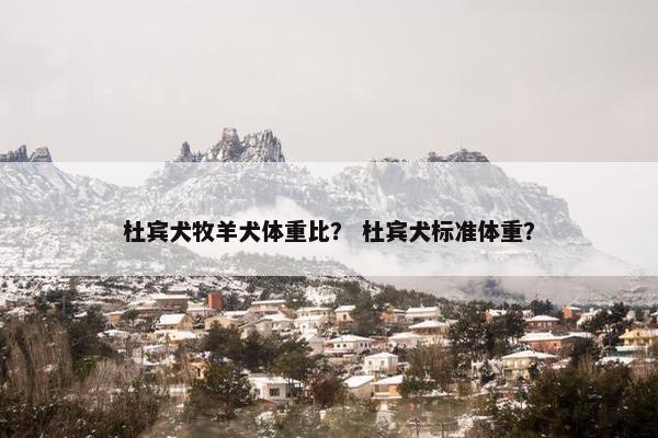 杜宾犬牧羊犬体重比？ 杜宾犬标准体重？