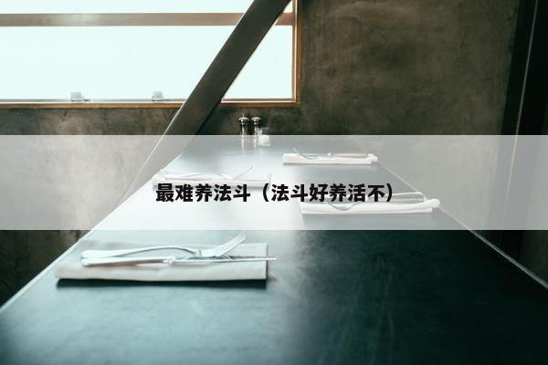 最难养法斗（法斗好养活不）