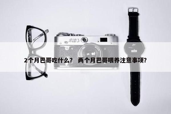2个月巴哥吃什么？ 两个月巴哥喂养注意事项？