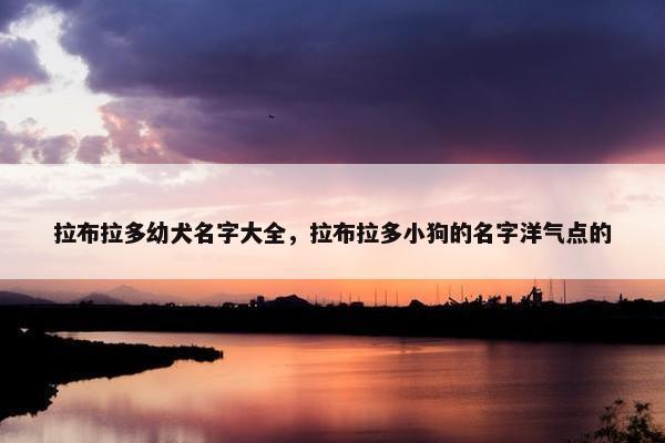 拉布拉多幼犬名字大全，拉布拉多小狗的名字洋气点的