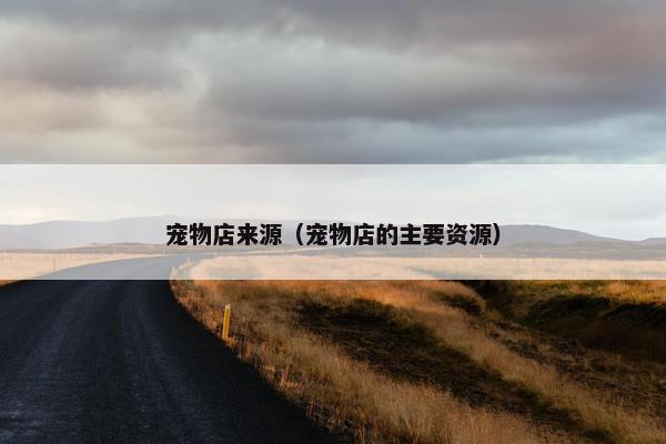 宠物店来源（宠物店的主要资源）