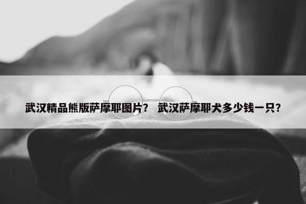武汉精品熊版萨摩耶图片？ 武汉萨摩耶犬多少钱一只？