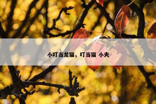 小叮当龙猫，叮当猫 小夫