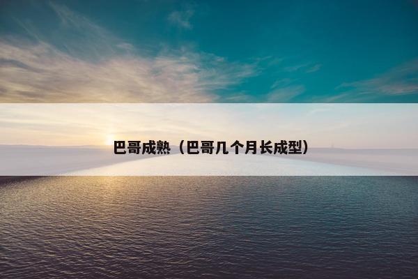 巴哥成熟（巴哥几个月长成型）