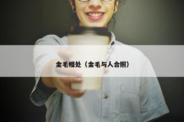 金毛相处（金毛与人合照）