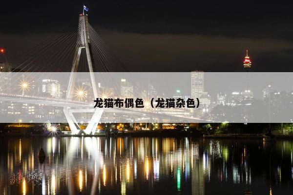 龙猫布偶色（龙猫杂色）