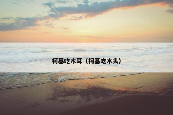 柯基吃木耳（柯基吃木头）