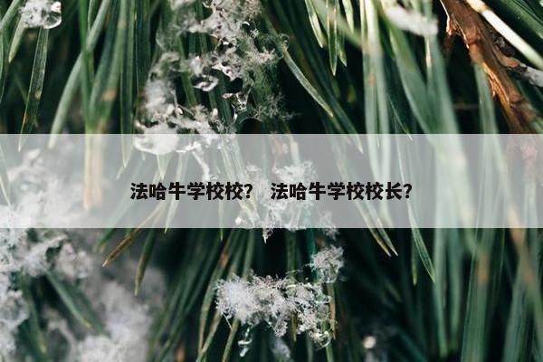 法哈牛学校校？ 法哈牛学校校长？