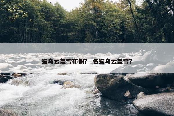 猫乌云盖雪布偶？ 名猫乌云盖雪？