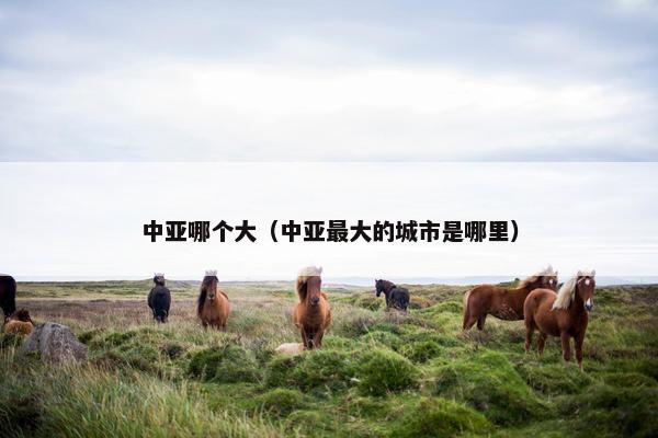 中亚哪个大（中亚最大的城市是哪里）