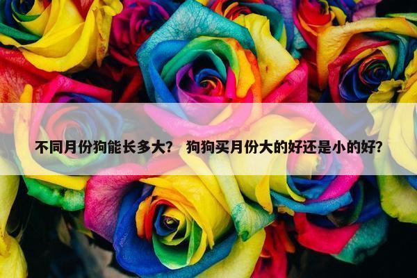 不同月份狗能长多大？ 狗狗买月份大的好还是小的好？