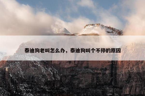 泰迪狗老叫怎么办，泰迪狗叫个不停的原因