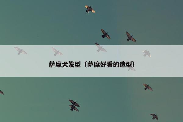 萨摩犬发型（萨摩好看的造型）