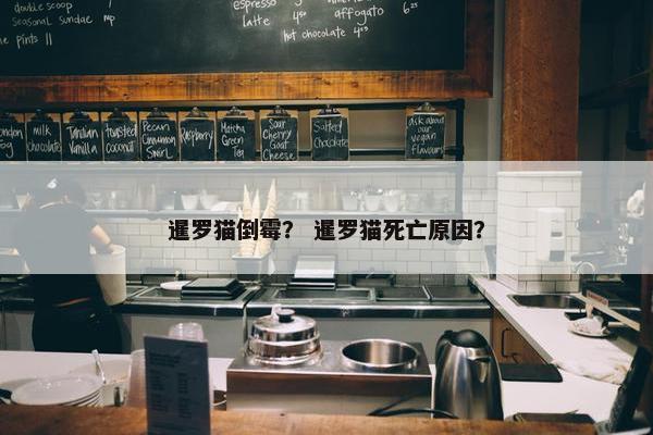 暹罗猫倒霉？ 暹罗猫死亡原因？