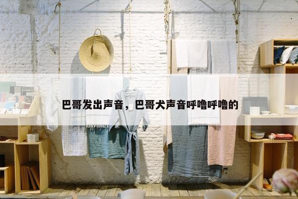 巴哥发出声音，巴哥犬声音呼噜呼噜的