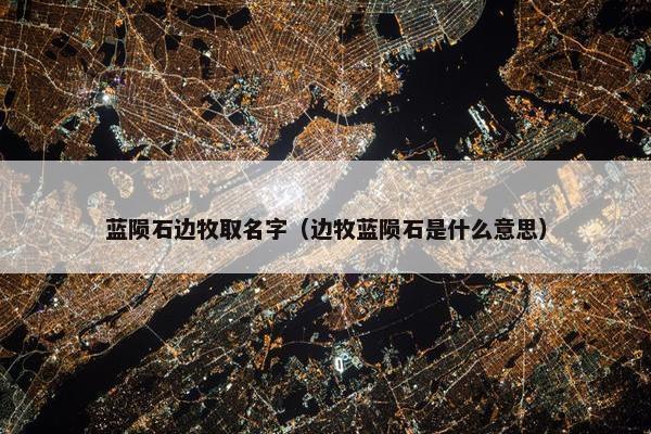 蓝陨石边牧取名字（边牧蓝陨石是什么意思）