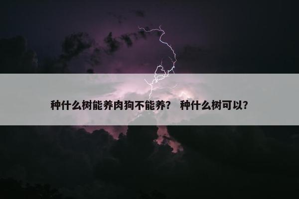 种什么树能养肉狗不能养？ 种什么树可以？