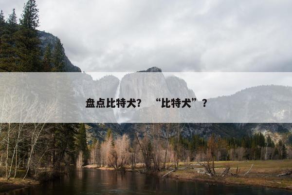 盘点比特犬？ “比特犬”？
