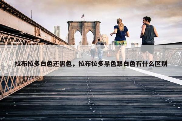 拉布拉多白色还黑色，拉布拉多黑色跟白色有什么区别