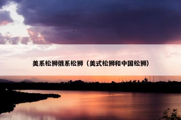 美系松狮俄系松狮（美式松狮和中国松狮）
