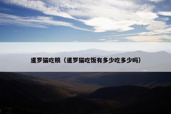 暹罗猫吃粮（暹罗猫吃饭有多少吃多少吗）