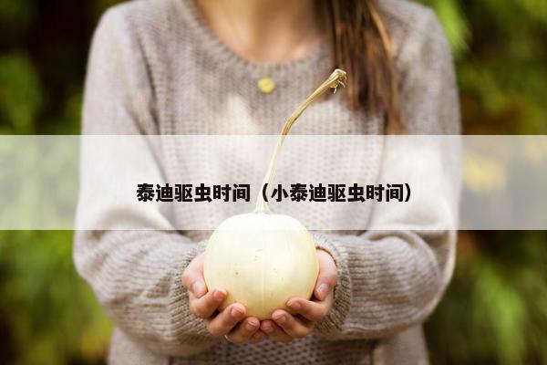 泰迪驱虫时间（小泰迪驱虫时间）
