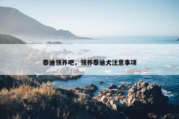泰迪领养吧，领养泰迪犬注意事项