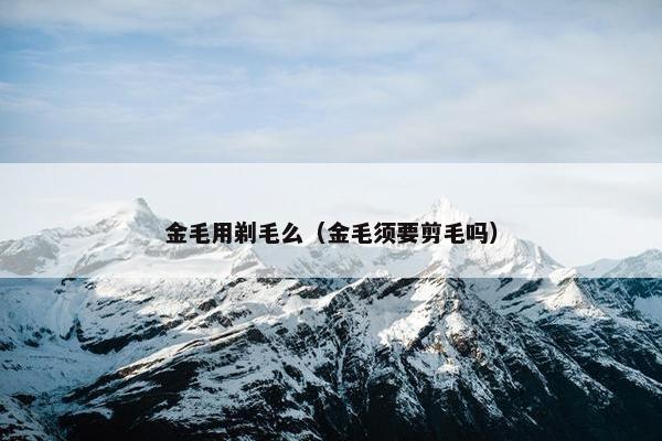 金毛用剃毛么（金毛须要剪毛吗）