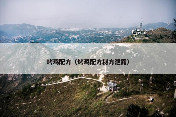 烤鸡配方（烤鸡配方秘方泄露）