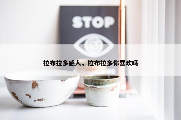 拉布拉多感人，拉布拉多你喜欢吗