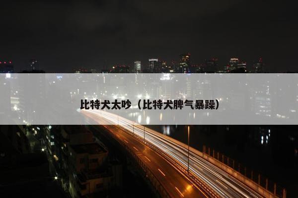 比特犬太吵（比特犬脾气暴躁）