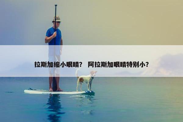 拉斯加缩小眼睛？ 阿拉斯加眼睛特别小？