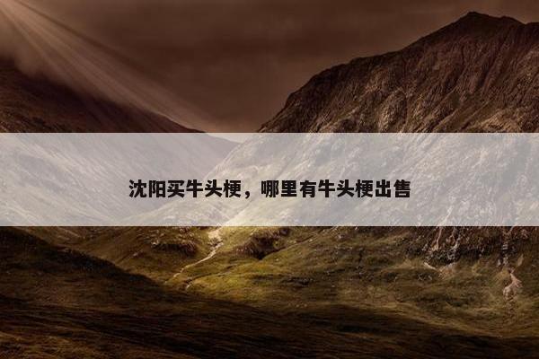沈阳买牛头梗，哪里有牛头梗出售