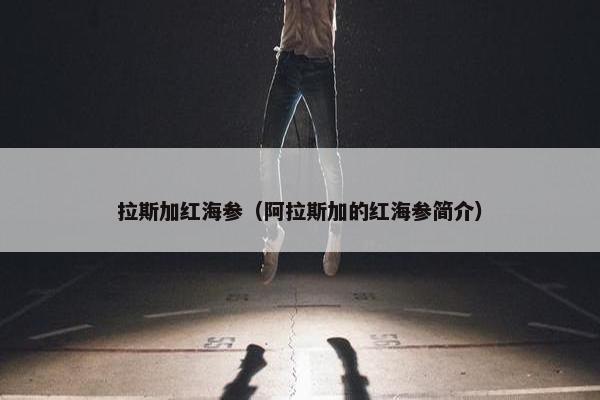 拉斯加红海参（阿拉斯加的红海参简介）
