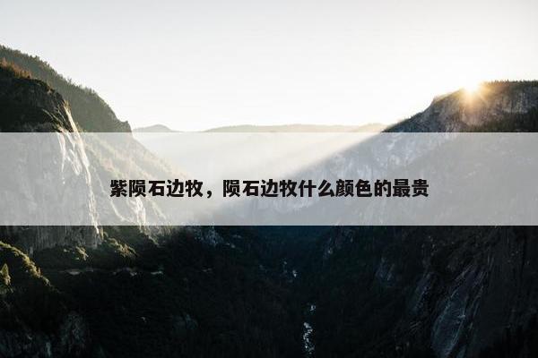 紫陨石边牧，陨石边牧什么颜色的最贵